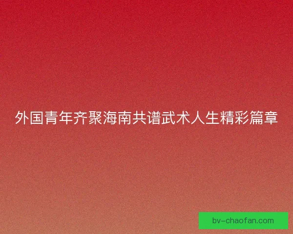 外国青年齐聚海南共谱武术人生精彩篇章